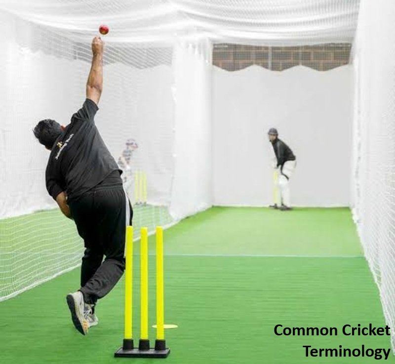 Common Cricket Terminology