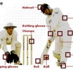 Cricket Pate Guide