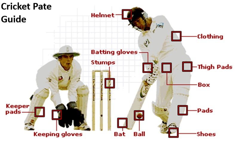 Cricket Pate Guide